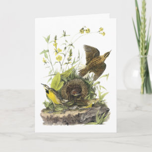 Audubon OstMeadowlard Feiertagskarte