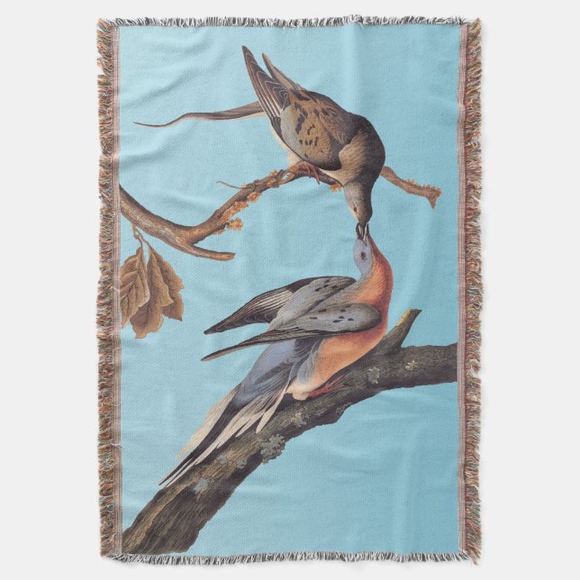 Audubon-Paar Kissing-Passagiertauben Decke (Vorderseite Vertikal)