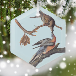 Audubon-Paar Kissing-Passagiertauben Ornament Aus Glas