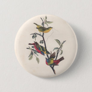 Audubon Painted Bunting Bird Wildlife Button