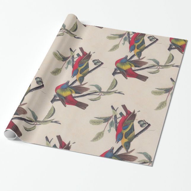 Audubon Painted Bunting Bird Wildlife Geschenkpapier (Ungerollt)