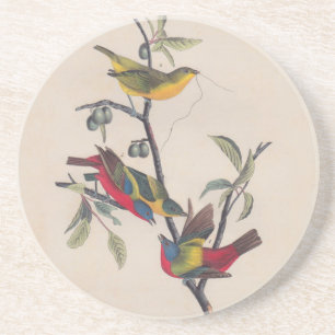 Audubon Painted Bunting Bird Wildlife Getränkeuntersetzer
