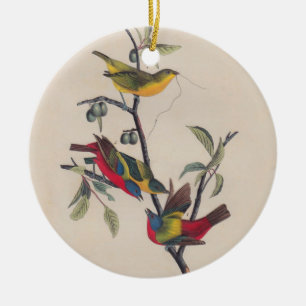 Audubon Painted Bunting Bird Wildlife Keramik Ornament