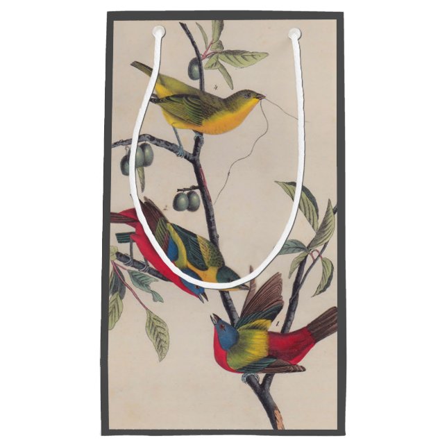 Audubon Painted Bunting Bird Wildlife Kleine Geschenktüte (Vorderseite)
