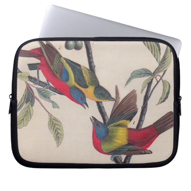 Audubon Painted Bunting Bird Wildlife Laptopschutzhülle (Vorderseite)