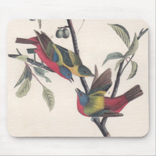 Audubon Painted Bunting Bird Wildlife Mousepad