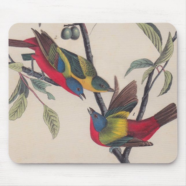 Audubon Painted Bunting Bird Wildlife Mousepad (Vorne)