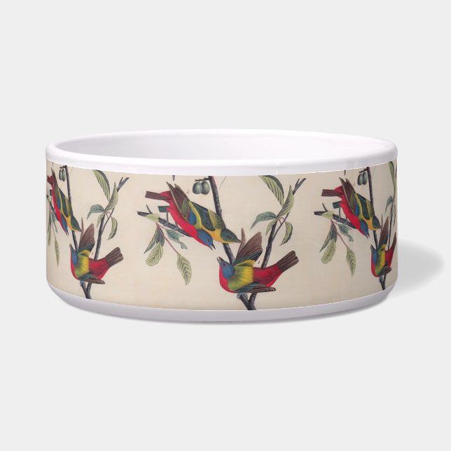 Audubon Painted Bunting Bird Wildlife Napf (Vorderseite)