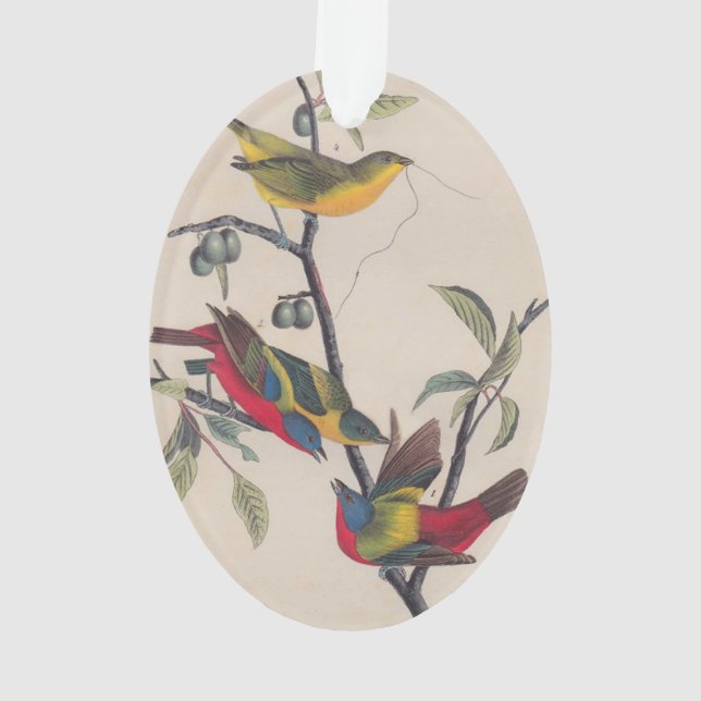 Audubon Painted Bunting Bird Wildlife Ornament (Rückseite)
