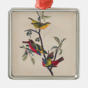 Audubon Painted Bunting Bird Wildlife Ornament Aus Metall