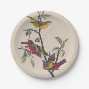 Audubon Painted Bunting Bird Wildlife Pappteller