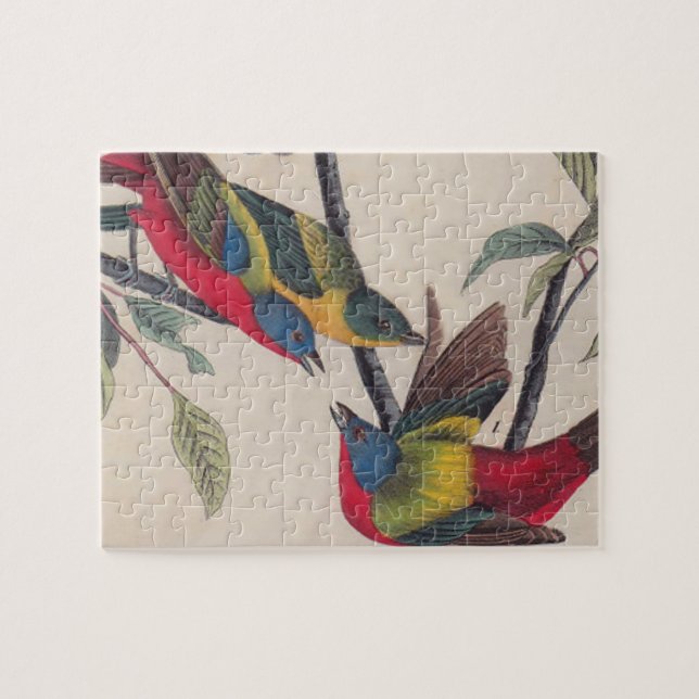 Audubon Painted Bunting Bird Wildlife Puzzle (Horizontal)