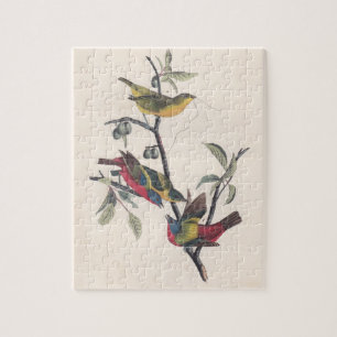 Audubon Painted Bunting Bird Wildlife Puzzle