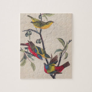 Audubon Painted Bunting Bird Wildlife Puzzle