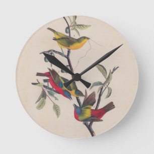 Audubon Painted Bunting Bird Wildlife Runde Wanduhr