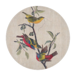 Audubon Painted Bunting Bird Wildlife Schneidebrett