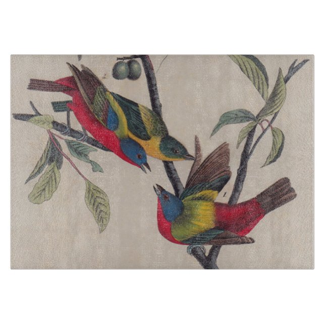 Audubon Painted Bunting Bird Wildlife Schneidebrett (Vorderseite)