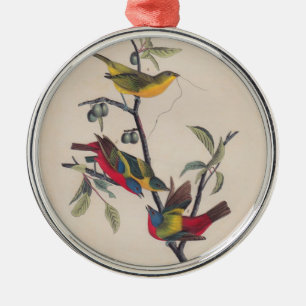 Audubon Painted Bunting Bird Wildlife Silbernes Ornament