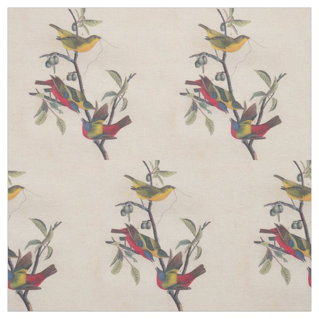 Audubon Painted Bunting Bird Wildlife Stoff (Muster)