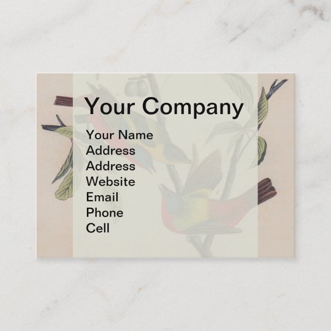 Audubon Painted Bunting Bird Wildlife Visitenkarte (Vorderseite)