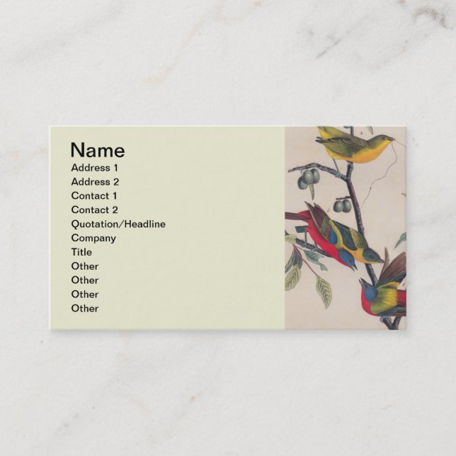 Audubon Painted Bunting Bird Wildlife Visitenkarte (Vorderseite)