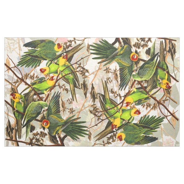 Audubon Papageien-Vogel-Tier-Tierblumengewebe Stoff (Yard (91,4 cm))