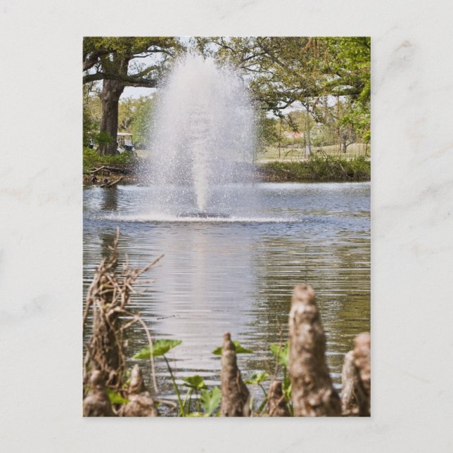 Audubon Park Postkarte (Vorderseite)