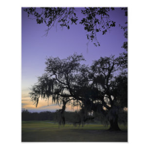 Audubon Park-Sonnenuntergang Fotodruck