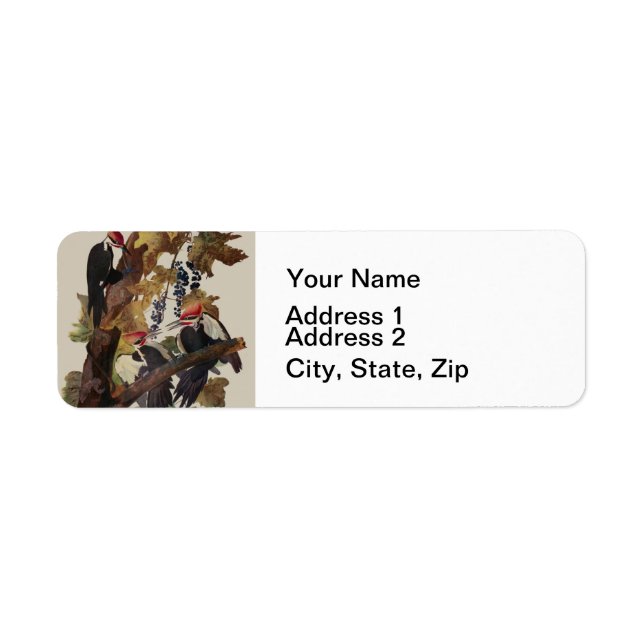 Audubon Pileated Woodpecker Bird Malerei (Vorne)