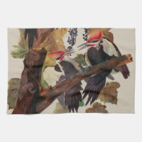 Audubon Pileated Woodpecker Bird Malerei