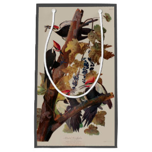 Audubon Pileated Woodpecker Bird Malerei Kleine Geschenktüte