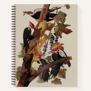 Audubon Pileated Woodpecker Bird Malerei Notizbuch