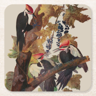 Audubon Pileated Woodpecker Bird Malerei Rechteckiger Pappuntersetzer