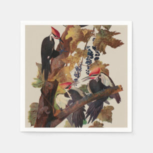 Audubon Pileated Woodpecker Bird Malerei Serviette