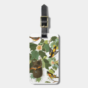 Audubon Platte 12 Baltimore Oriole Gepäckanhänger