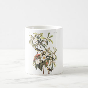 Audubon Platte 185 Bachmans Trällerer Kaffeetasse