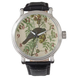 Audubon Purple Grackle Vogel Druck Vintage Botanik Armbanduhr