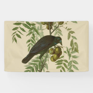 Audubon Purple Grackle Vogel Druck Vintage Botanik Banner