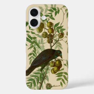 Audubon Purple Grackle Vogel Druck Vintage Botanik iPhone 16 Hülle
