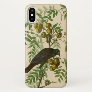 Audubon Purple Grackle Vogel Druck Vintage Botanik Case-Mate iPhone Hülle