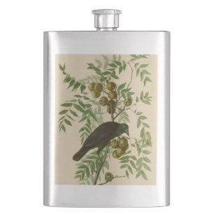 Audubon Purple Grackle Vogel Druck Vintage Botanik Flachmann
