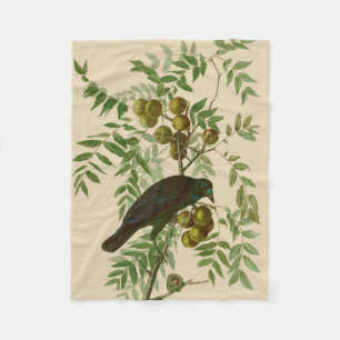 Audubon Purple Grackle Vogel Druck Vintage Botanik Fleecedecke