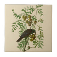 Audubon Purple Grackle Vogel Druck Vintage Botanik