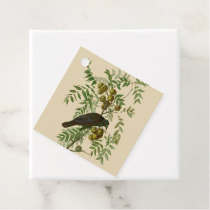 Audubon Purple Grackle Vogel Druck Vintage Botanik Geschenkanhänger