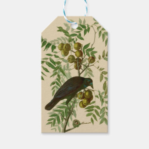 Audubon Purple Grackle Vogel Druck Vintage Botanik Geschenkanhänger
