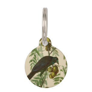 Audubon Purple Grackle Vogel Druck Vintage Botanik Haustiermarke