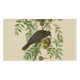 Audubon Purple Grackle Vogel Druck Vintage Botanik Namenschild
