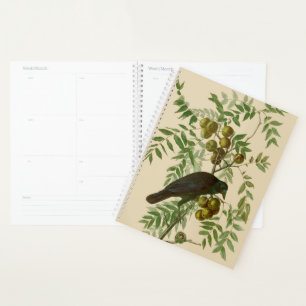 Audubon Purple Grackle Vogel Druck Vintage Botanik Planer