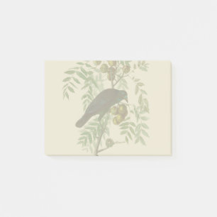 Audubon Purple Grackle Vogel Druck Vintage Botanik Post-it Klebezettel