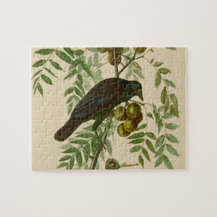 Audubon Purple Grackle Vogel Druck Vintage Botanik Puzzle